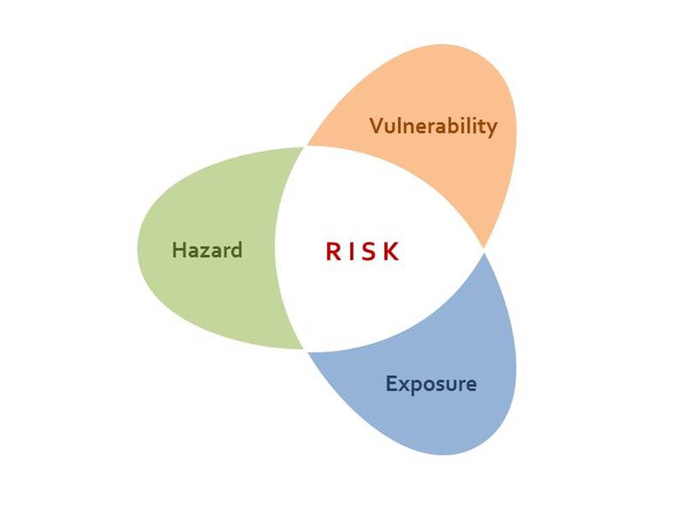 Earth System Processes and Disaster Management